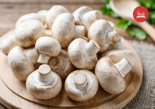 historia y cultivo de los champiñones (agaricus bisporus)
