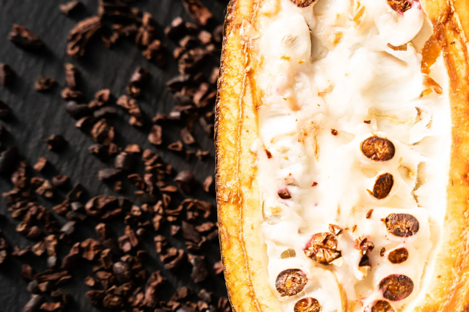 Open cacao pod with fresh seeds next to cacao nibs